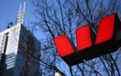 ‘No value’: bank defends dropped no-deforestation plan