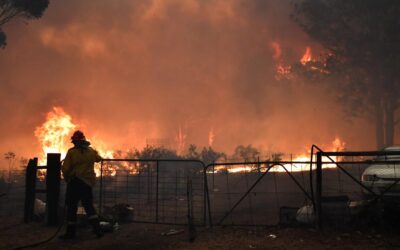 Urban sprawl fuels deadly fire risks on city outskirts