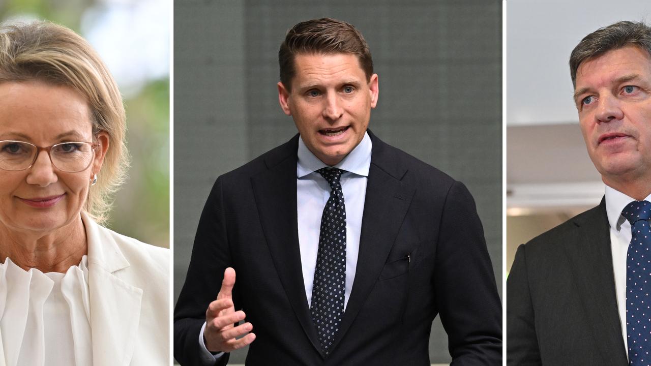 Triptych of Sussan Ley, Andrew Hastie and Angus Taylor