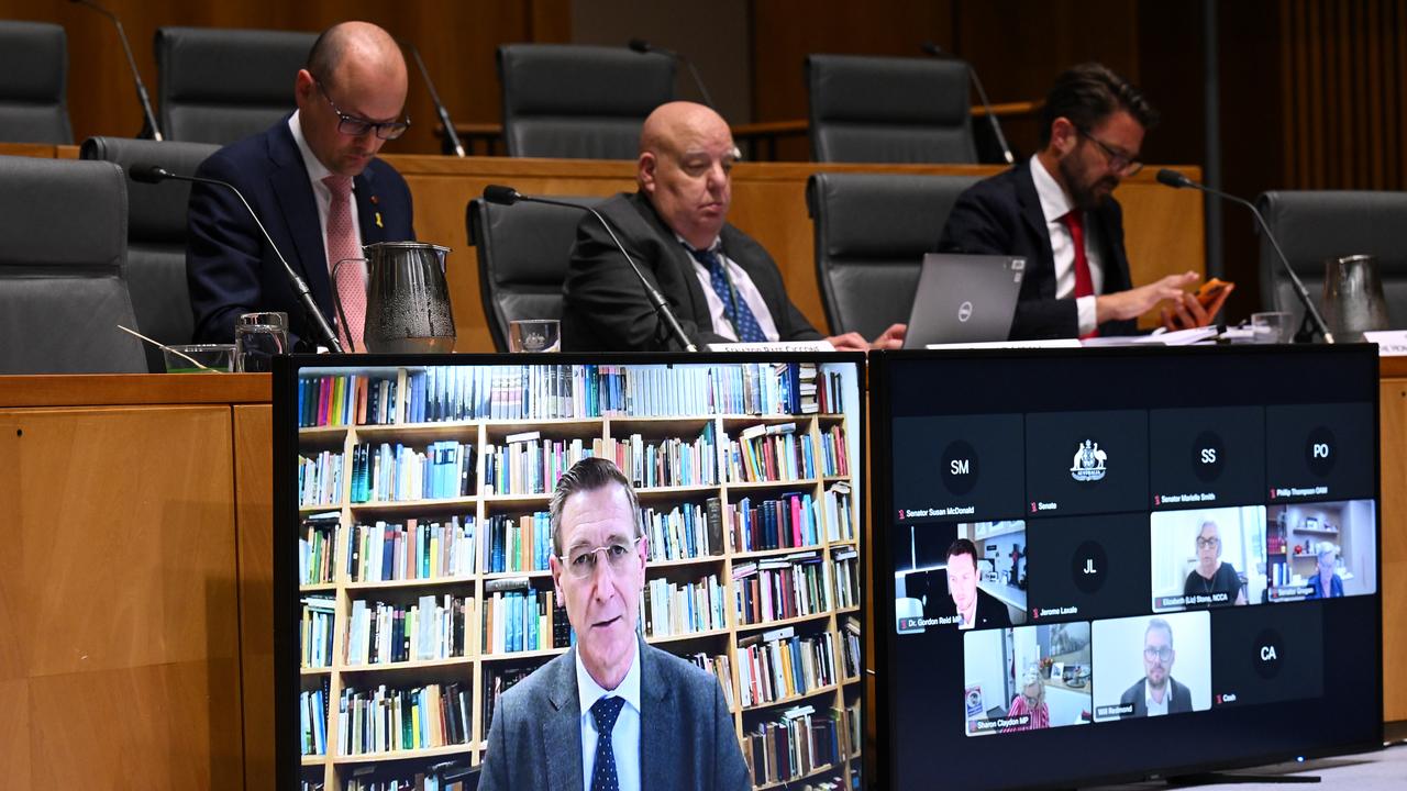 Anglican Bishop Michael Stead via videolink at a parliamentary inquiry