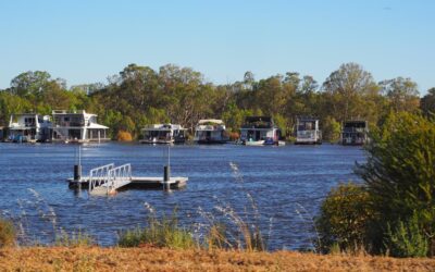 Alarm bells as Murray declared critically endangered