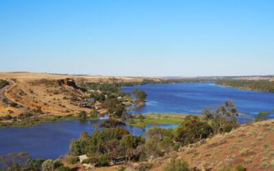 Parts of Murray River listed as critically endangered