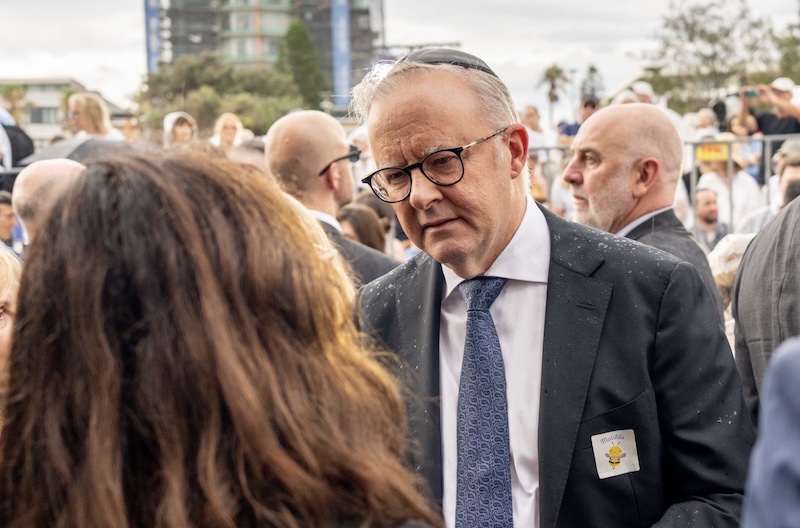 Prime Minister Anthony Albanese. Image: Facebook