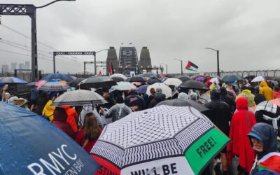 Antisemitism crisis. What is real and what is not