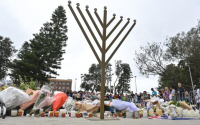 Start afresh: Greens won’t support hate speech reform