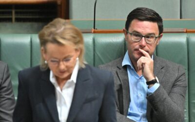 Nationals senators to ‘do time’ for hate laws split