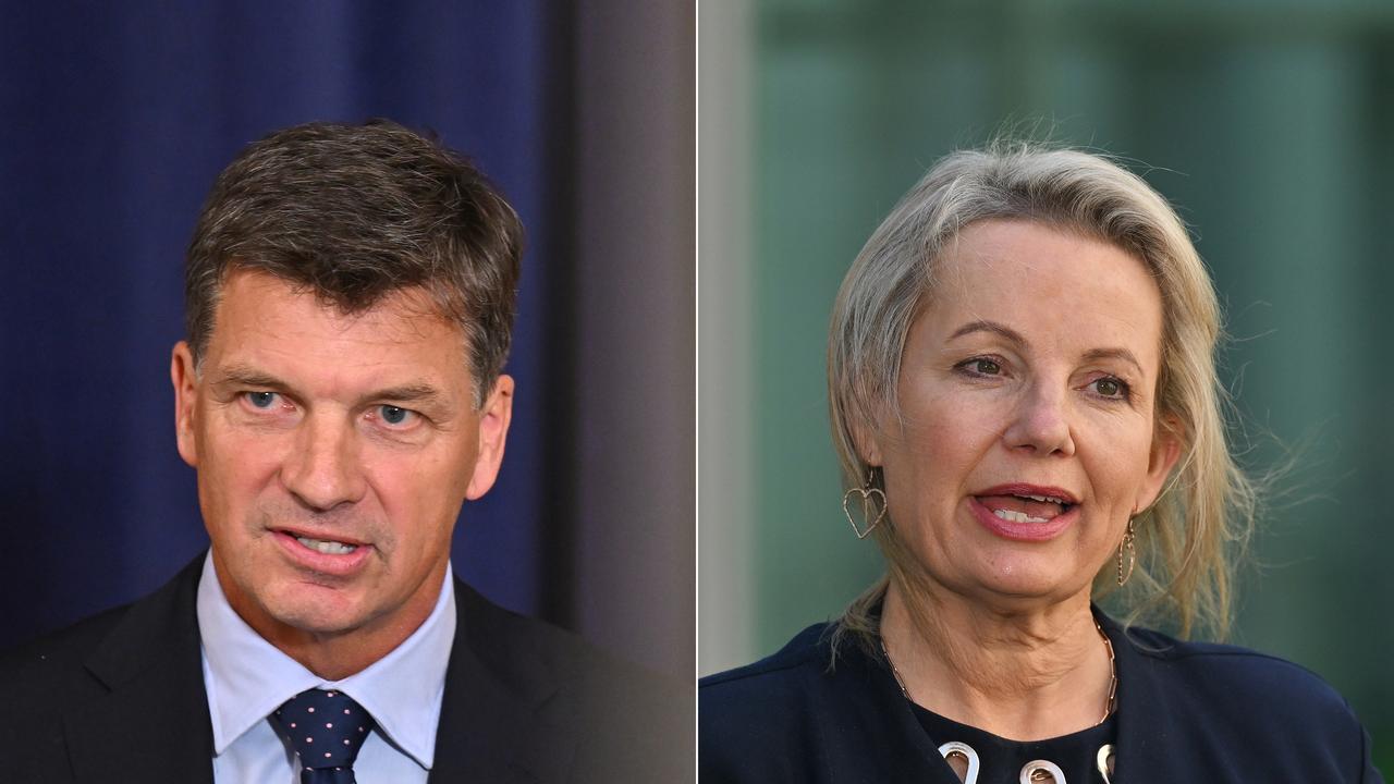 Angus Taylor and Sussan Ley