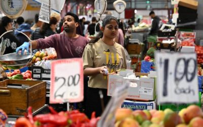 Inflation drop on the cards but rate pain to persist
