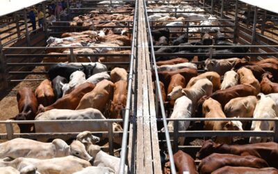 Positive signs of progress on elusive trade agreement