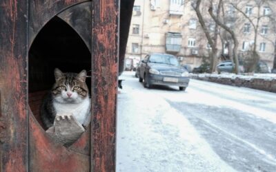 Power cuts tip war-torn Ukraine’s economy into crisis