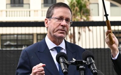 Protesters beaten, arrested as Herzog visit continues