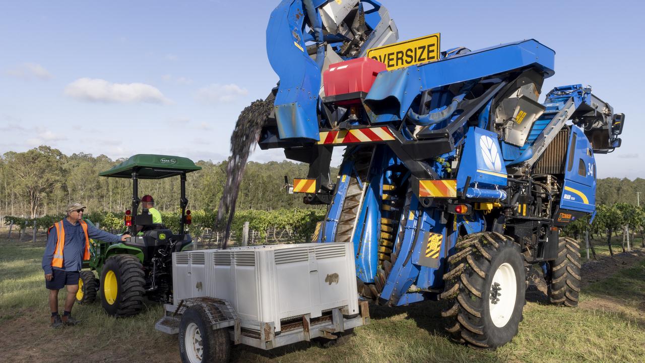 Vineyard owner, Ian Napier