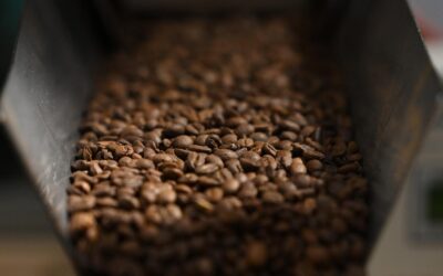 Climate ‘coming for our coffee’ without farm adaptation
