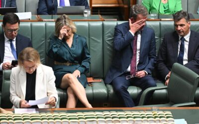 ‘Get it over with’: frustration spills over in Libs row