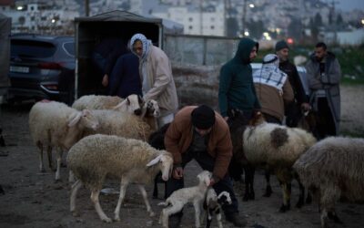 Israel approves West Bank land registration