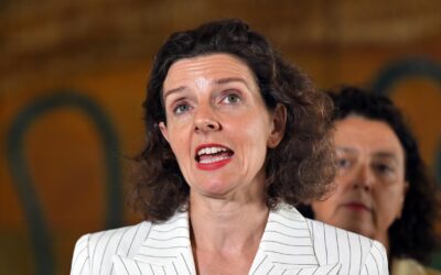 MP touts tax reform blueprint as Treasury mulls changes