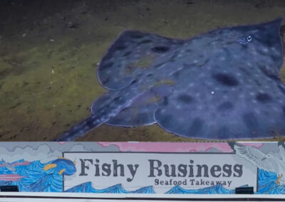 “Pack of Mongrels”. Politics beats extinction of Maugean Skate