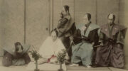 Legislative harikiri