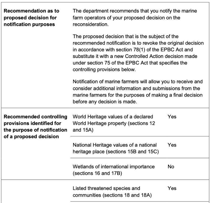 Skate Decision Brief