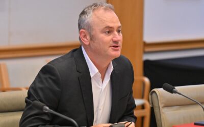 ‘Gerrymander’: teal backer takes aim at donations cap