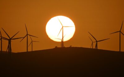 No ill winds blowing for renewables spending in budget