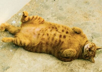 Bondi Beach bounty – $5000 a day