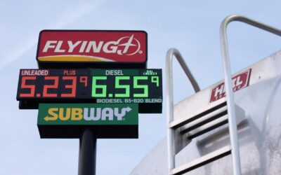 US consumer prices surge as expected in March