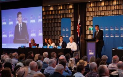 ‘Brand damage’ risk as Liberals preference One Nation