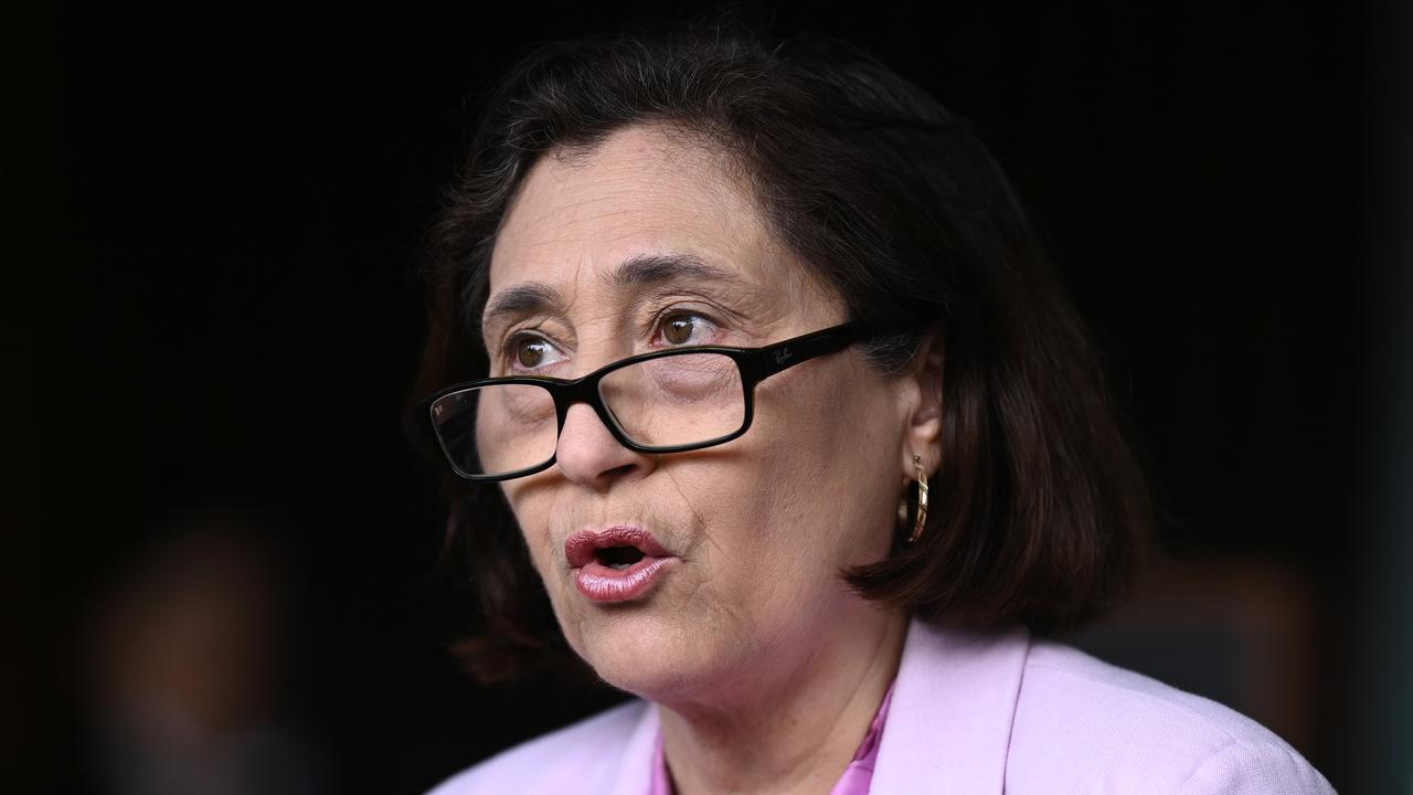 Victorian Energy Minister Lily D'Ambrosio (file image)
