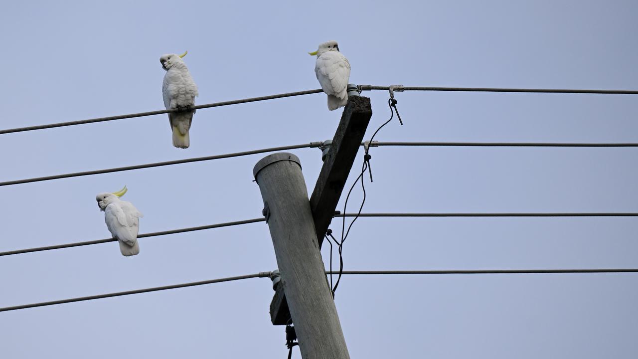 electricity