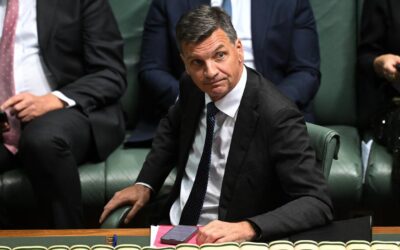 Taylor faces ‘strategic error’ in seizing on migration