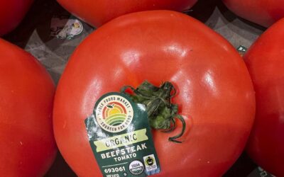 Tomatoes become latest US affordability squeeze symbol