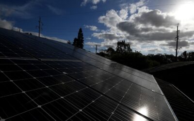 Budget lacks energy for big renewable project reforms