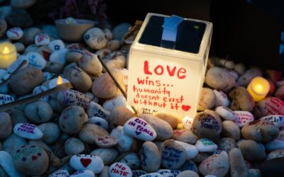 Bondi terror probe witnesses targeted by online hate