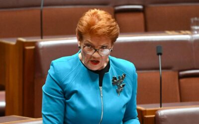 Hanson lashes gas tax ‘vandalism’, reveals energy plan