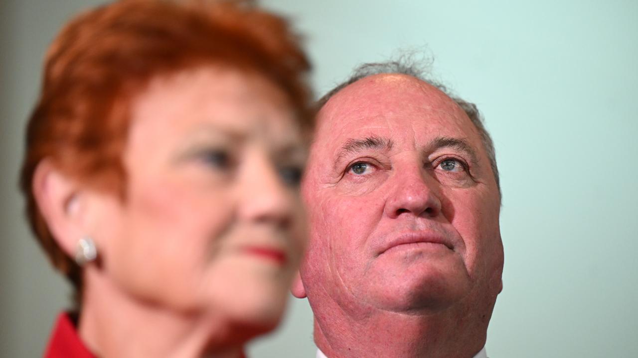 One Nation leader Pauline Hanson and Barnaby Joyce