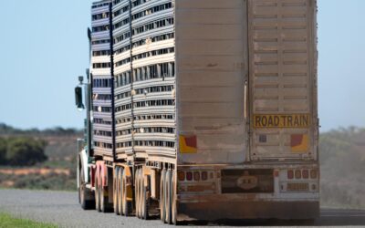 Diesel boost on the water for bottlenecked regions