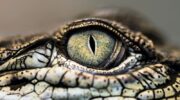 Image: David Clode, Unsplash