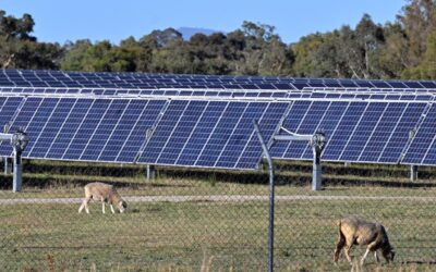 Tardy approvals leaving clean energy dollars in limbo