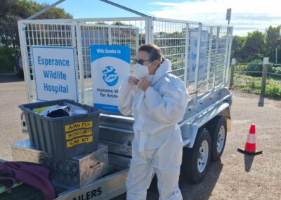Agricultural sector braces for deadly bird flu threat