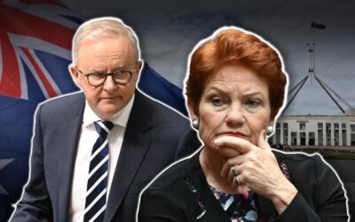 ‘Smokescreen’: Labor hits out at One Nation fundraising