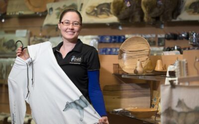 Small business, payments system brace for payday super