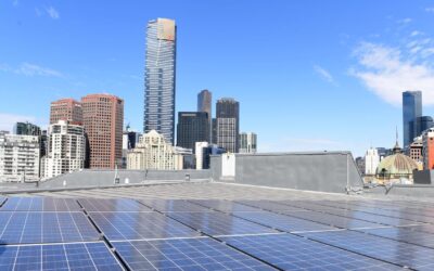 Businesses MIA on rooftop solar and battery revolution