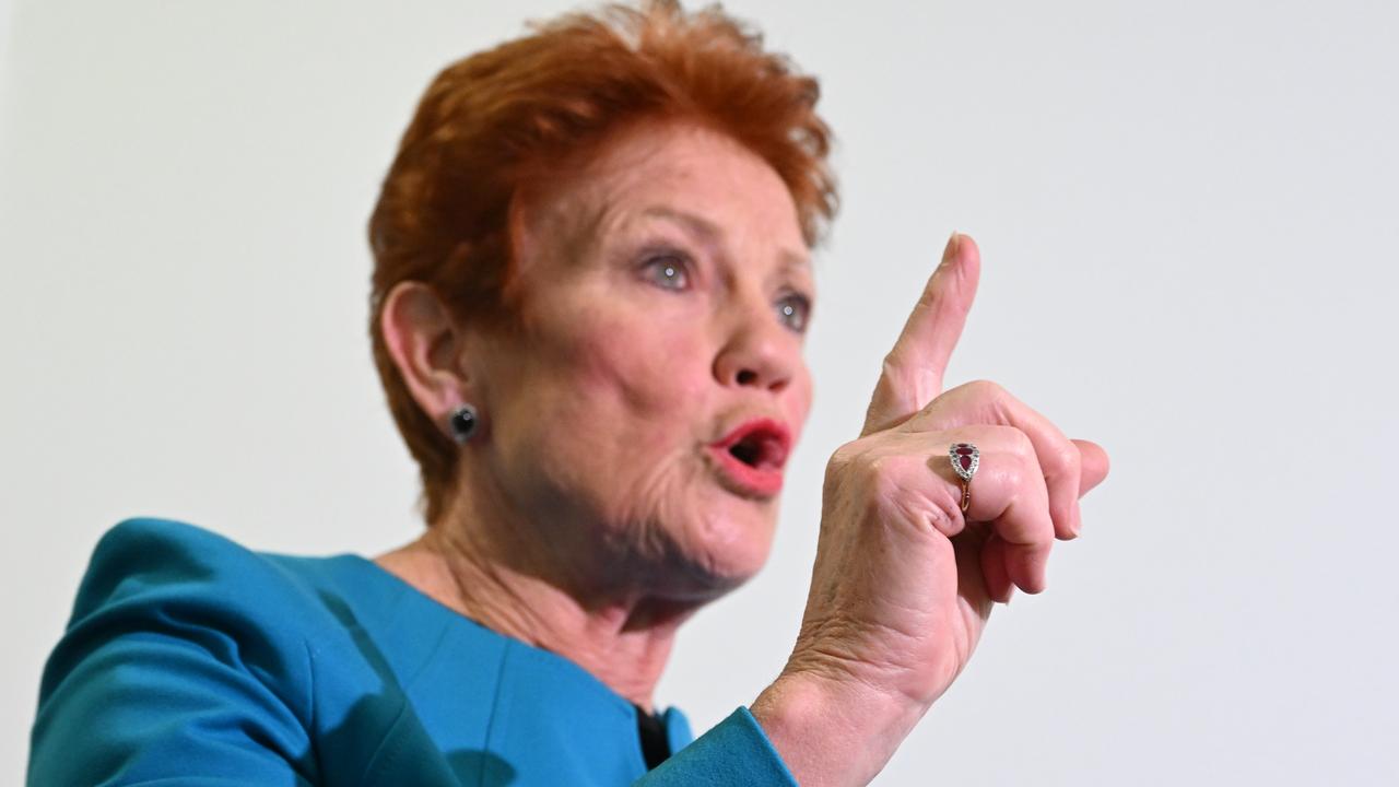 One Nation leader Pauline Hanson