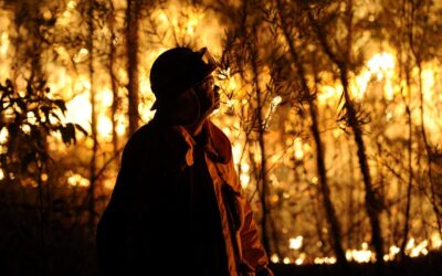 Retrofit rewards to usher in new era of fire-safe homes
