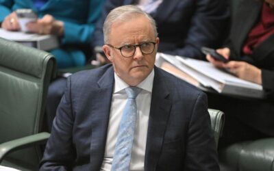 Albanese vows support as man faces Syria death penalty