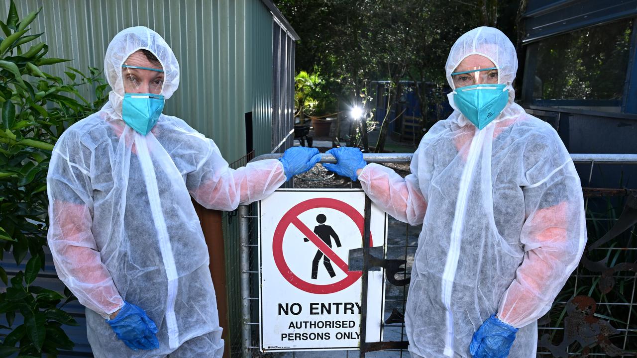 bird flu