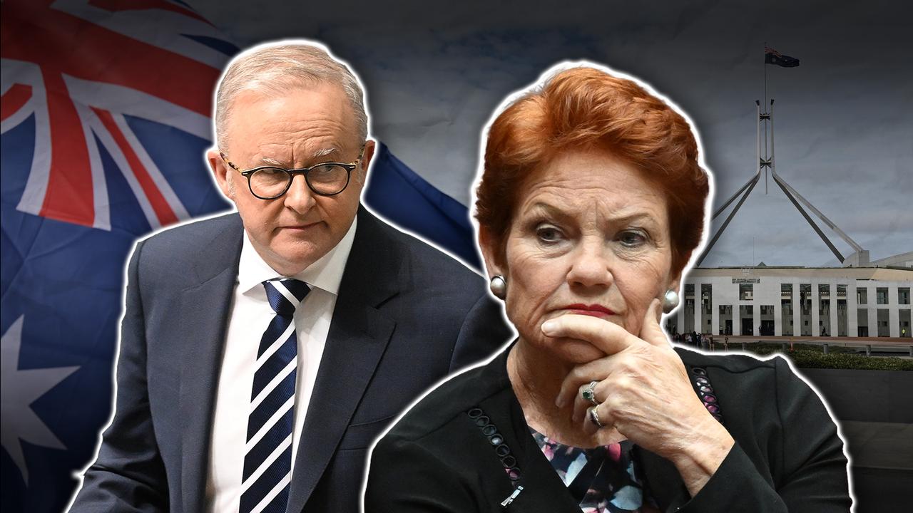 Anthony Albanese and Pauline Hanson