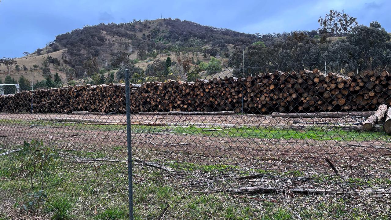 A timber mill