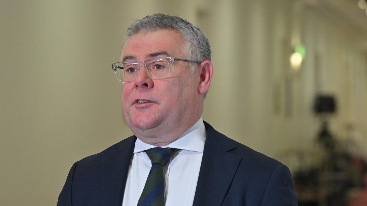 Murray Watt (file image)
